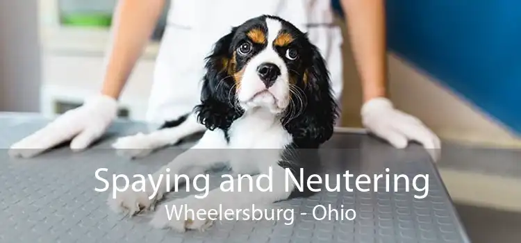 Spaying and Neutering Wheelersburg - Ohio