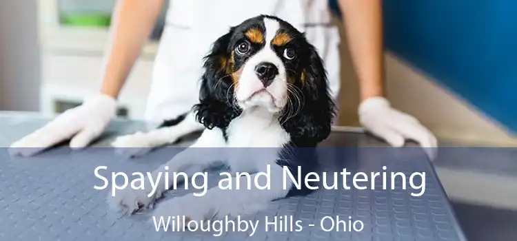 Spaying and Neutering Willoughby Hills - Ohio