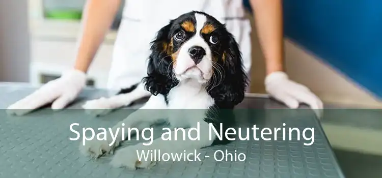 Spaying and Neutering Willowick - Ohio