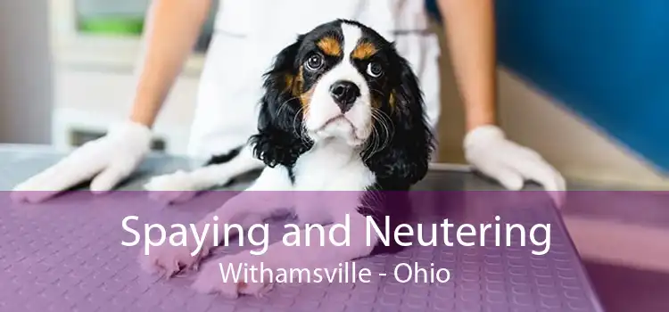 Spaying and Neutering Withamsville - Ohio