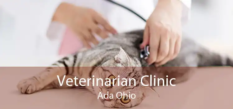 Veterinarian Clinic Ada Ohio