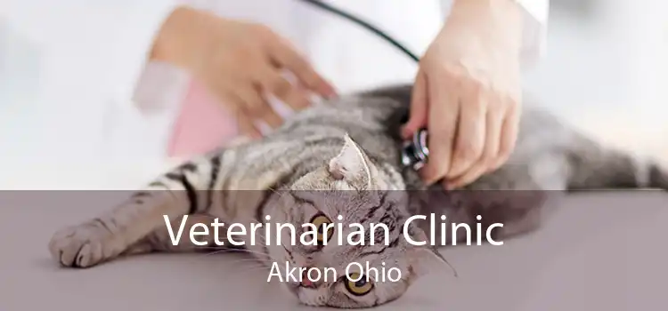 Veterinarian Clinic Akron Ohio