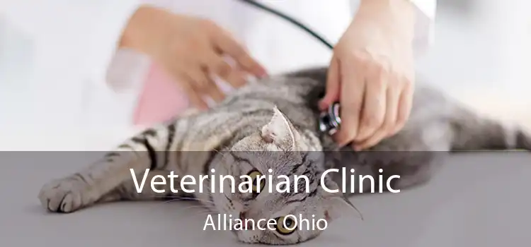 Veterinarian Clinic Alliance Ohio
