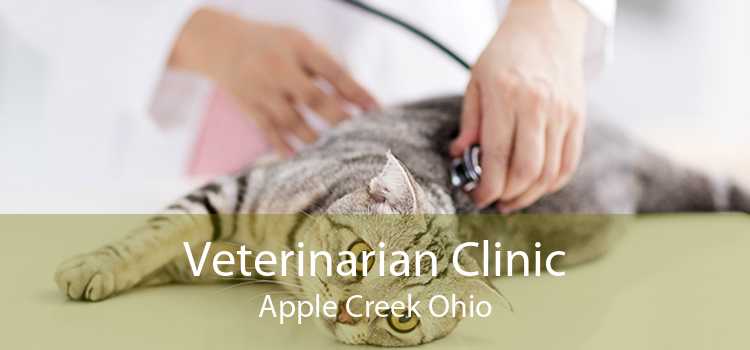 Veterinarian Clinic Apple Creek Ohio