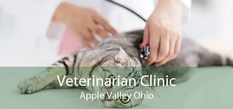 Veterinarian Clinic Apple Valley Ohio
