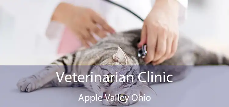 Veterinarian Clinic Apple Valley Ohio