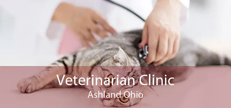 Veterinarian Clinic Ashland Ohio
