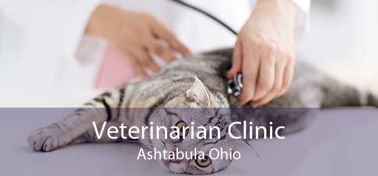 Veterinarian Clinic Ashtabula Ohio