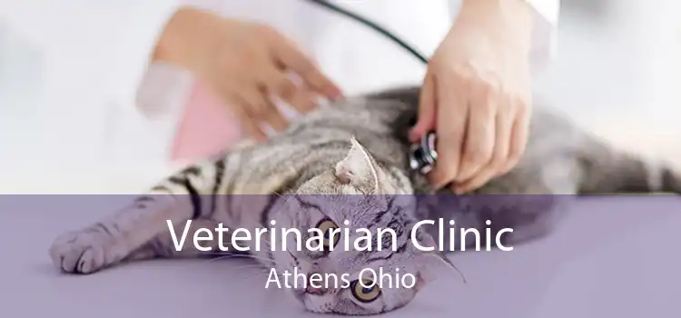 Veterinarian Clinic Athens Ohio