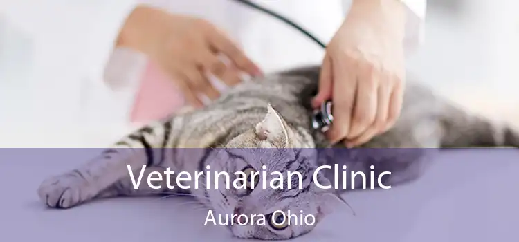 Veterinarian Clinic Aurora Ohio