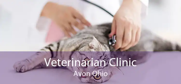 Veterinarian Clinic Avon Ohio