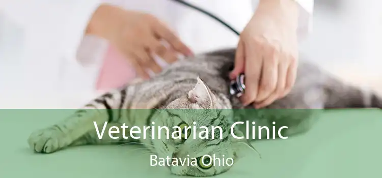 Veterinarian Clinic Batavia Ohio