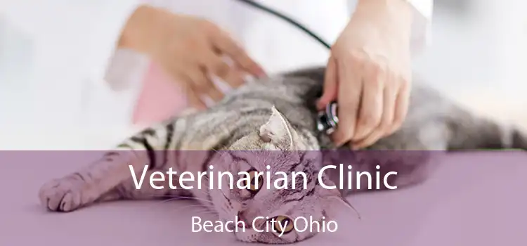 Veterinarian Clinic Beach City Ohio