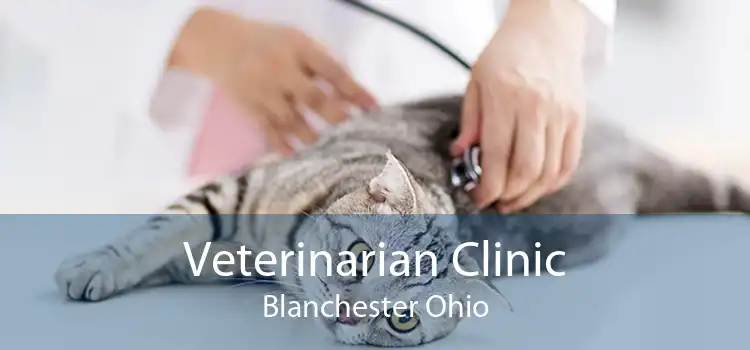 Veterinarian Clinic Blanchester Ohio