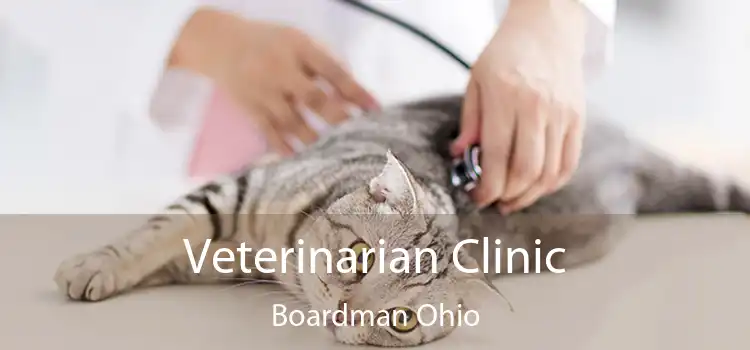 Veterinarian Clinic Boardman Ohio