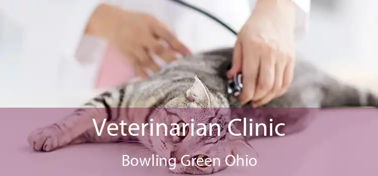 Veterinarian Clinic Bowling Green Ohio