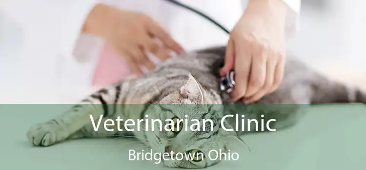 Veterinarian Clinic Bridgetown Ohio