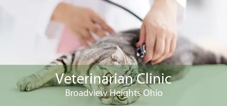 Veterinarian Clinic Broadview Heights Ohio