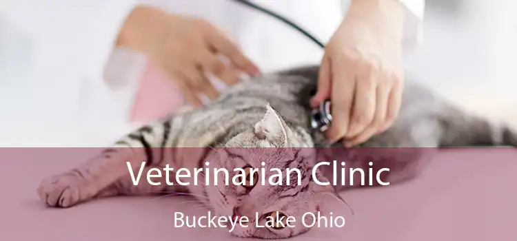 Veterinarian Clinic Buckeye Lake Ohio