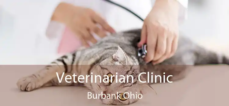 Veterinarian Clinic Burbank Ohio