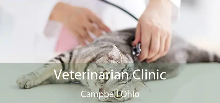 Veterinarian Clinic Campbell Ohio