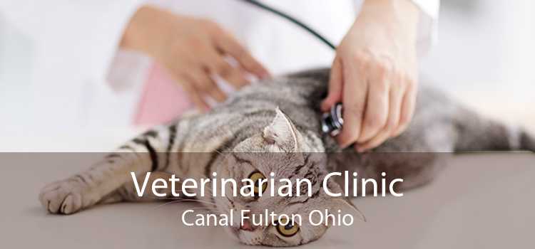 Veterinarian Clinic Canal Fulton Ohio
