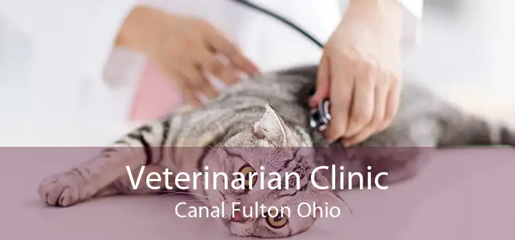 Veterinarian Clinic Canal Fulton Ohio