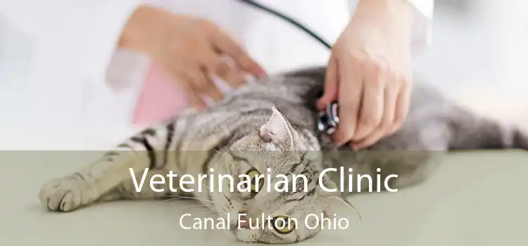 Veterinarian Clinic Canal Fulton Ohio