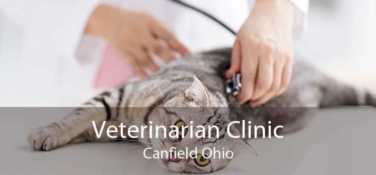 Veterinarian Clinic Canfield Ohio