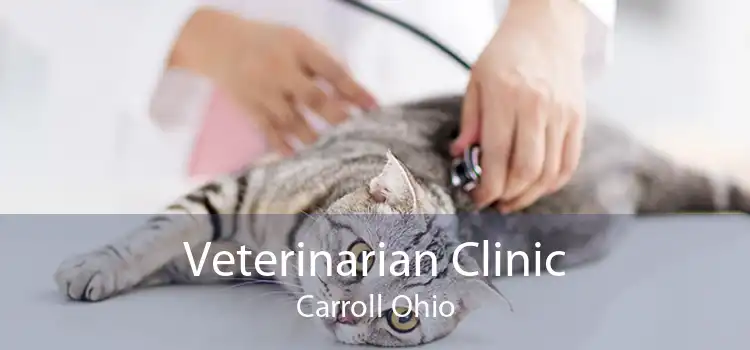 Veterinarian Clinic Carroll Ohio