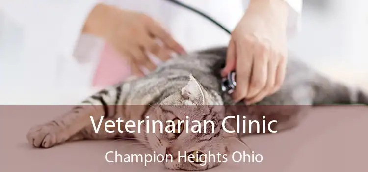 Veterinarian Clinic Champion Heights Ohio