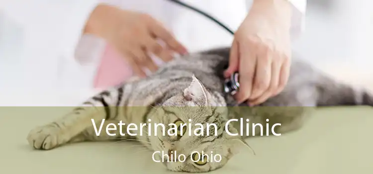 Veterinarian Clinic Chilo Ohio