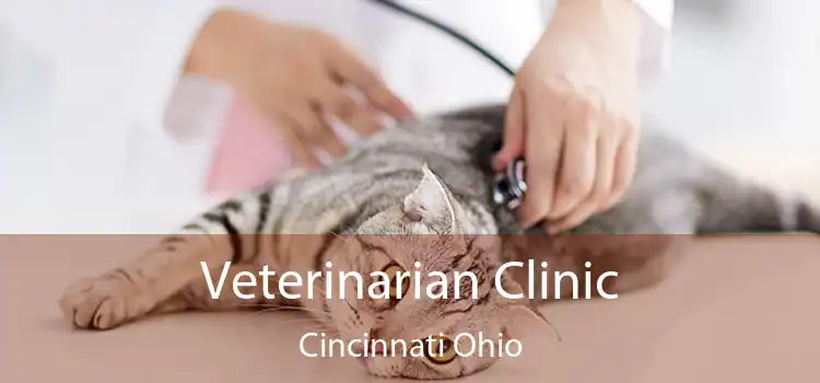 Veterinarian Clinic Cincinnati Ohio