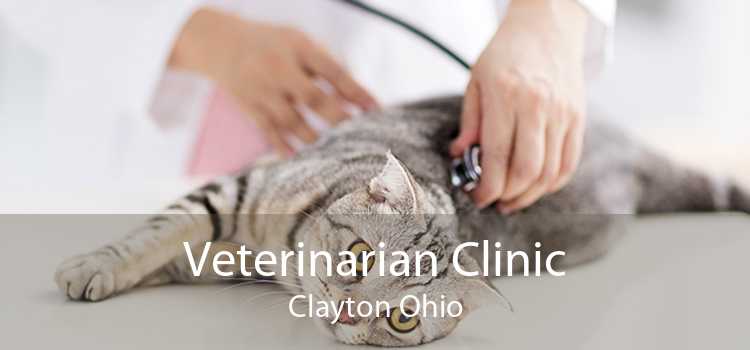 Veterinarian Clinic Clayton Ohio