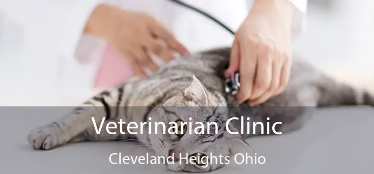 Veterinarian Clinic Cleveland Heights Ohio