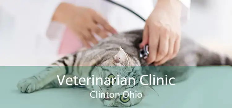 Veterinarian Clinic Clinton Ohio