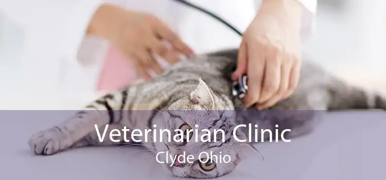 Veterinarian Clinic Clyde Ohio