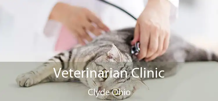 Veterinarian Clinic Clyde Ohio