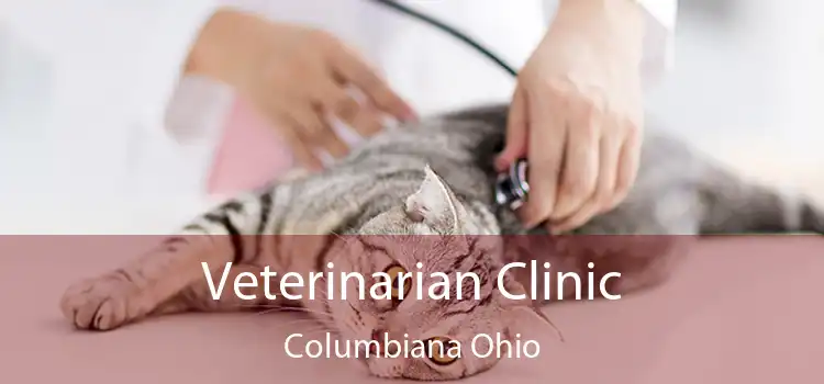 Veterinarian Clinic Columbiana Ohio