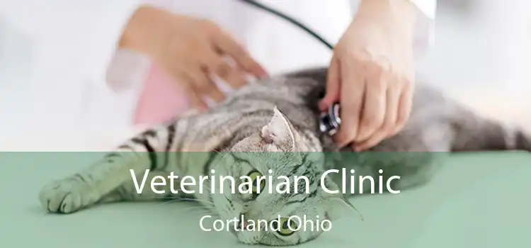 Veterinarian Clinic Cortland Ohio