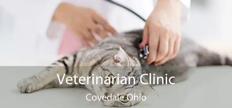 Veterinarian Clinic Covedale Ohio