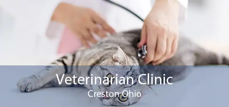 Veterinarian Clinic Creston Ohio