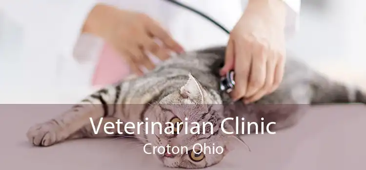 Veterinarian Clinic Croton Ohio