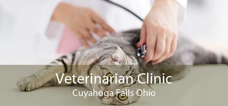 Veterinarian Clinic Cuyahoga Falls Ohio