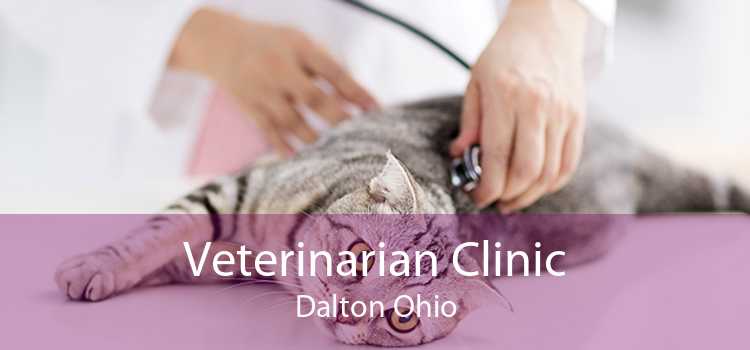 Veterinarian Clinic Dalton Ohio