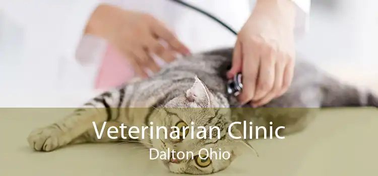 Veterinarian Clinic Dalton Ohio