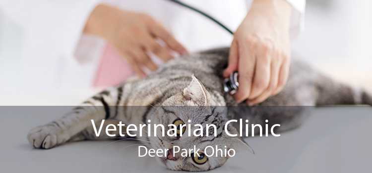 Veterinarian Clinic Deer Park Ohio