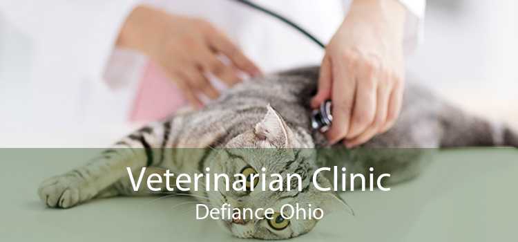 Veterinarian Clinic Defiance Ohio