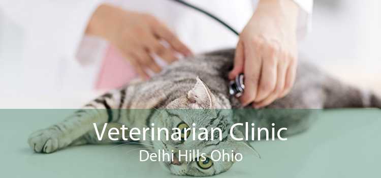 Veterinarian Clinic Delhi Hills Ohio