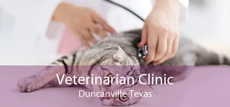 Veterinarian Clinic Duncanville Texas